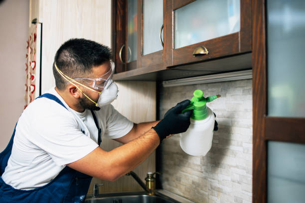 Trusted Fort Leonard Wood, MO Pest Control Experts