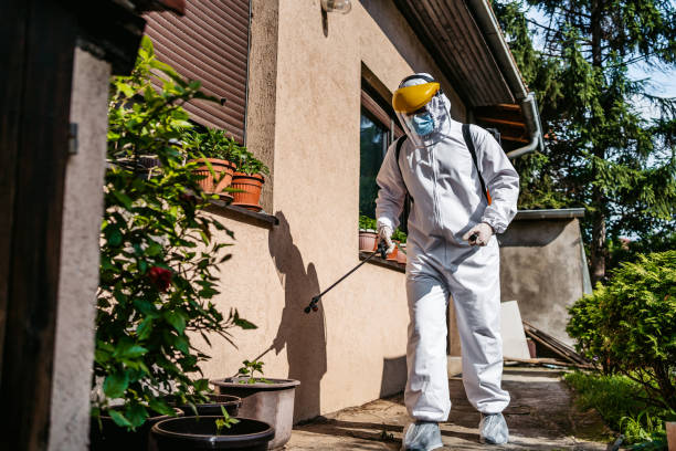 Wasp Removal Services in Fort Leonard Wood, MO