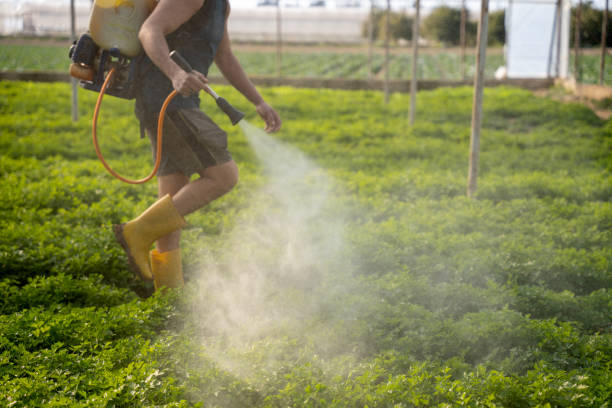 Best Local Pest Control Services  in Fort Leonard Wood, MO