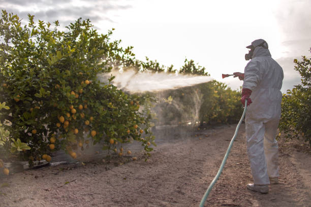 Best Residential Pest Control  in Fort Leonard Wood, MO
