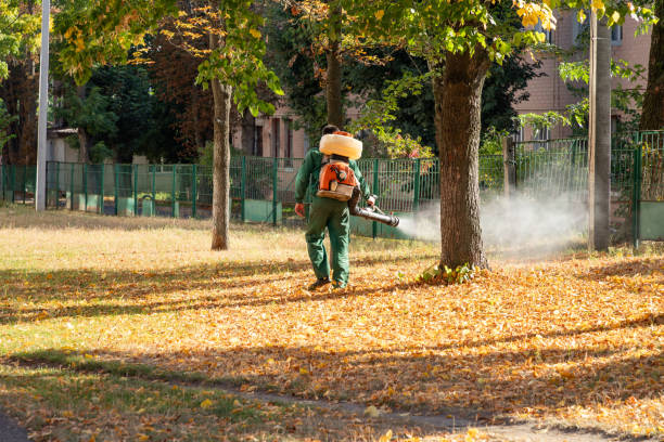 Best Pest Removal Services  in Fort Leonard Wood, MO