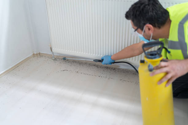 Pest Control for Restaurants in Fort Leonard Wood, MO