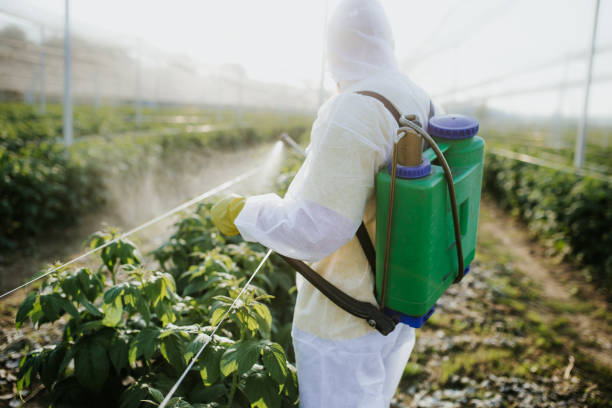 Best Affordable Pest Control Services  in Fort Leonard Wood, MO